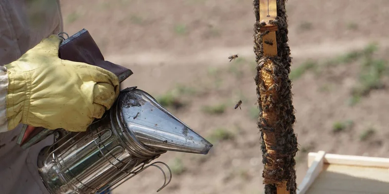 Tools and Smokers guides for backyard beekeepers
