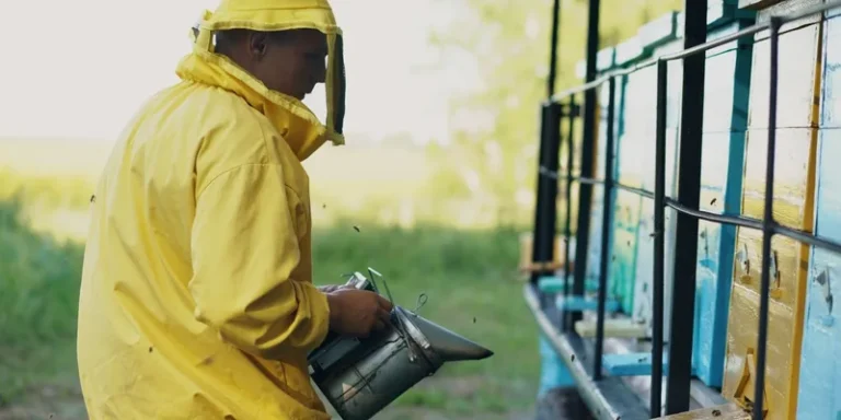 Beekeeper in protective suit using smoker beside colorful beehives in nature