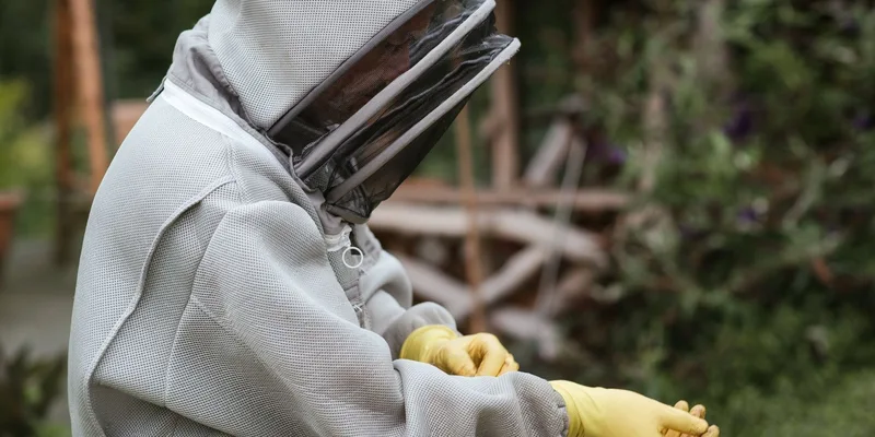 Beekeeper wearing a protective suit and gloves, ready for work in an apiary