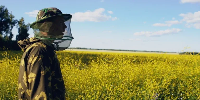 Beekeeper in camouflage outfit and netting in a sunny yellow field