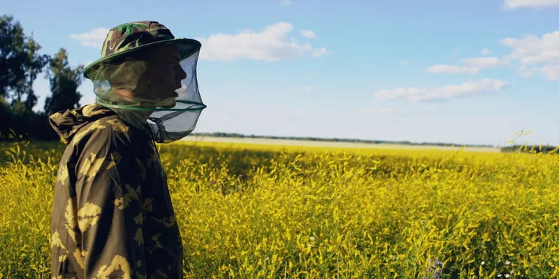 Beekeeper in camouflage outfit and netting in a sunny yellow field