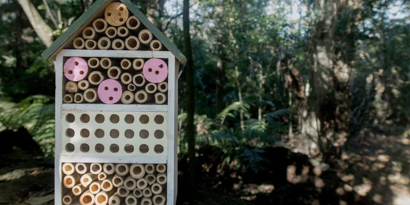 Close-up of a wooden insect hotel in a sunlit forest setting, promoting biodiversity