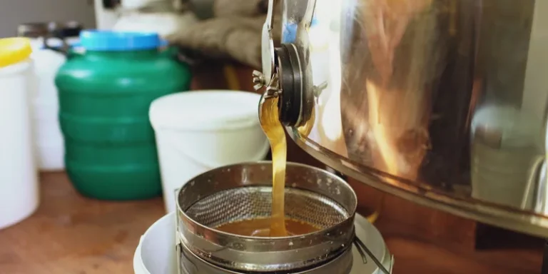 Honey flowing from a large stainless steel extractor into a filter in a beekeeping setup