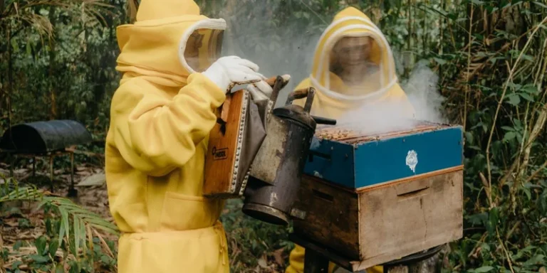 Beekeepers in yellow suits using a smoker on beehive in forest setting
