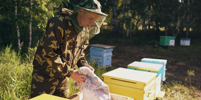 A beekeeper in protective gear working with beehives outdoors in nature