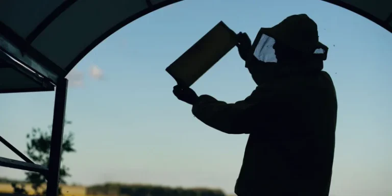 A beekeeper in protective gear inspects a honeycomb, captured in silhouette during the day