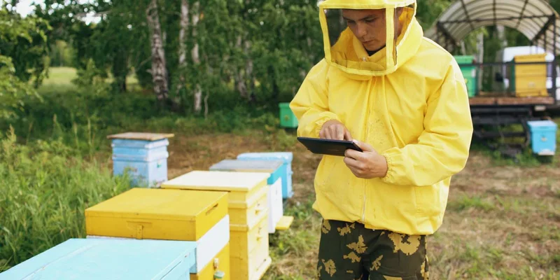 A beekeeper in yellow protective gear uses a tablet near colorful beehives outdoors