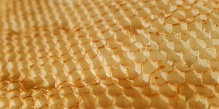 Detailed texture of a honeycomb showcasing hexagonal wax pattern